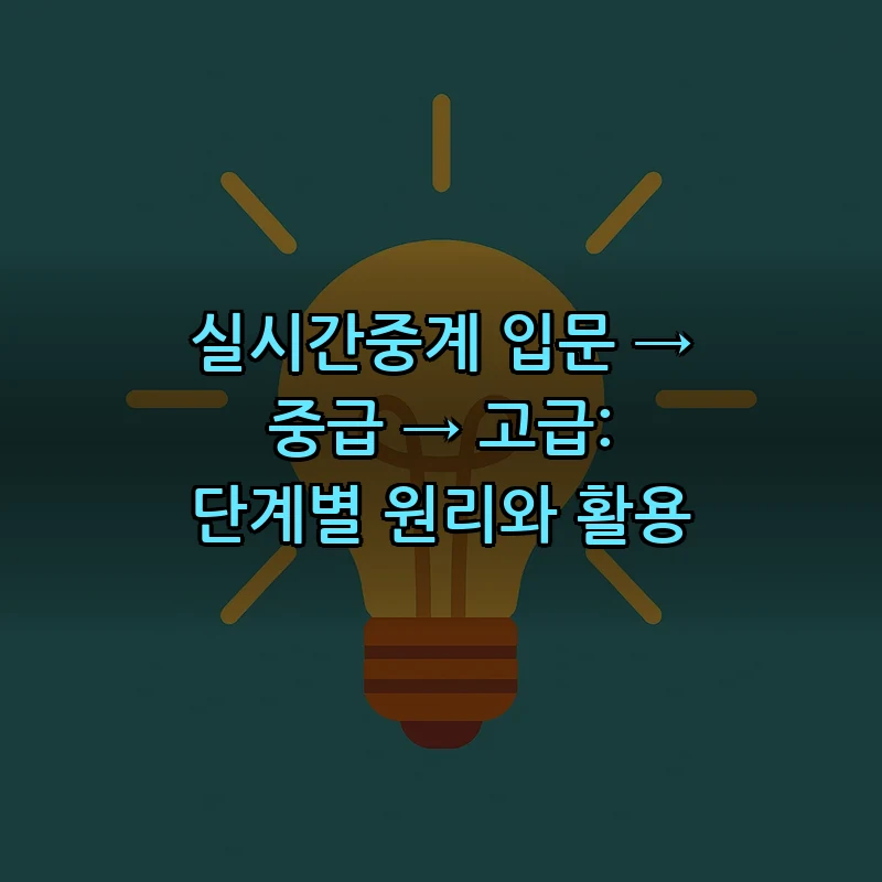 실시간중계의 기본 원리와 활용 설명