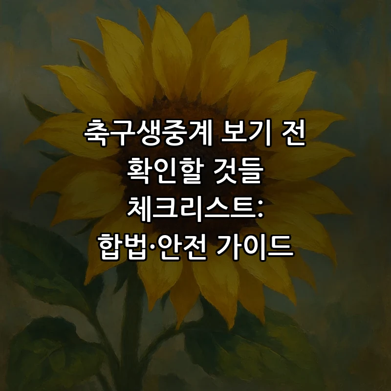 축구 생중계 시청 전 필수 체크리스트