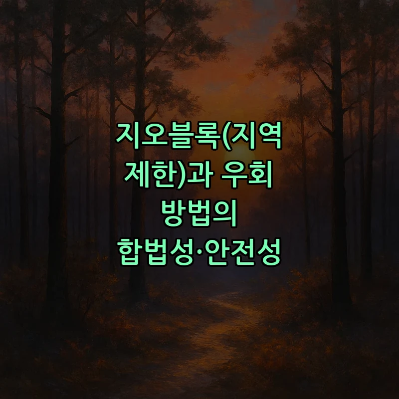 지오블록(지역 제한)과 우회 방법의 합법성·안전성