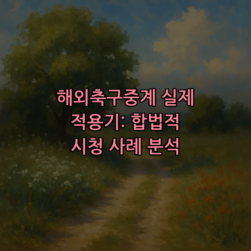 해외축구 중계 방법: 합법적 시청 사례 분석