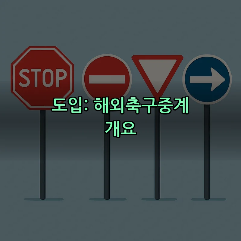 도입: 해외축구중계 개요