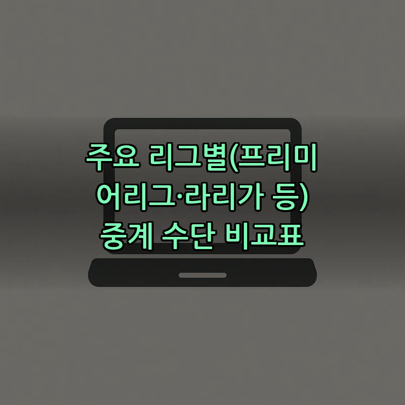 주요 리그별(프리미어리그·라리가 등) 중계 수단 비교표