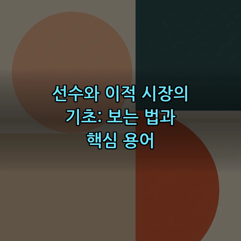 선수와 이적 시장의 기초: 보는 법과 핵심 용어