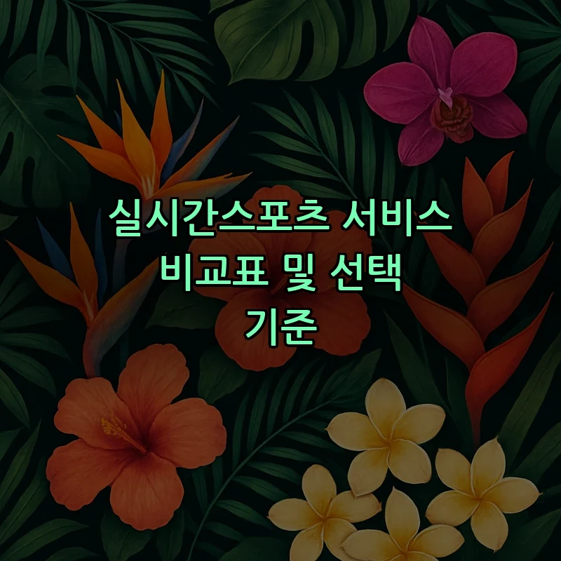 실시간스포츠 서비스 비교표 및 선택 기준