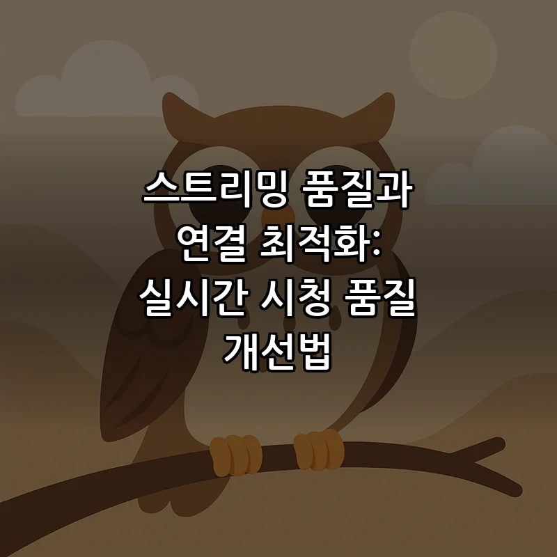 스트리밍 품질과 연결 최적화: 실시간 시청 품질 개선법