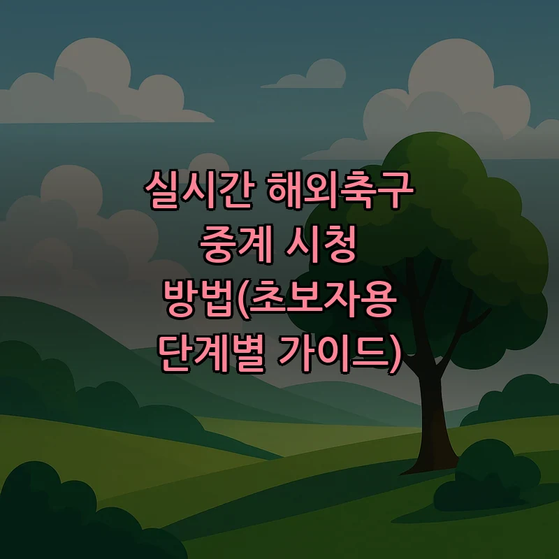 실시간 해외축구 중계 시청 방법(초보자용 단계별 가이드)