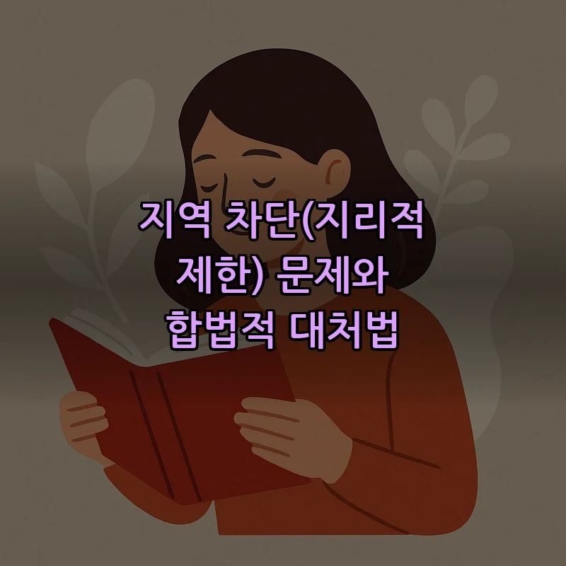 지역 차단(지리적 제한) 문제와 합법적 대처법