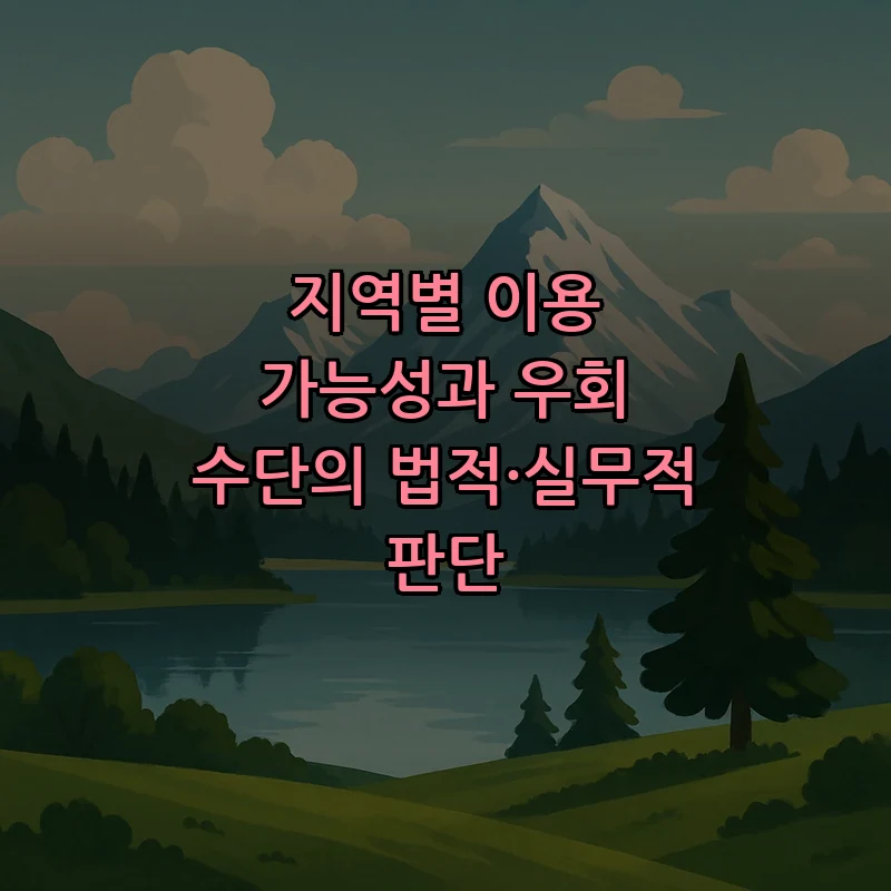 지역별 이용 가능성과 우회 수단의 법적·실무적 판단