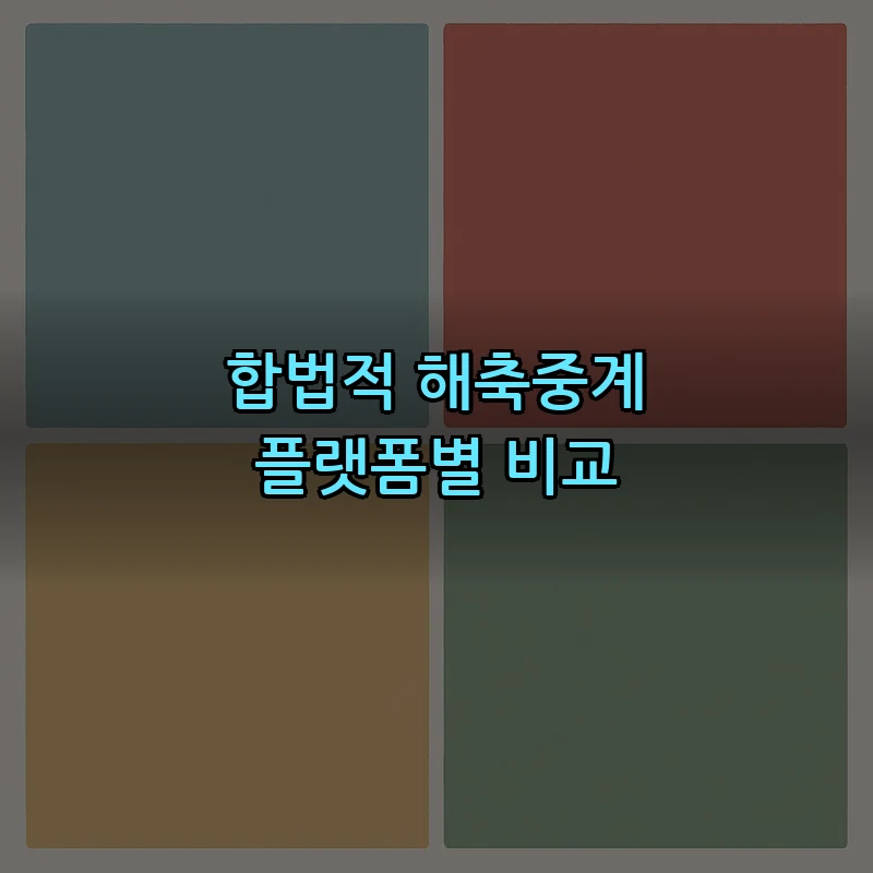 합법적 해축중계 플랫폼별 비교