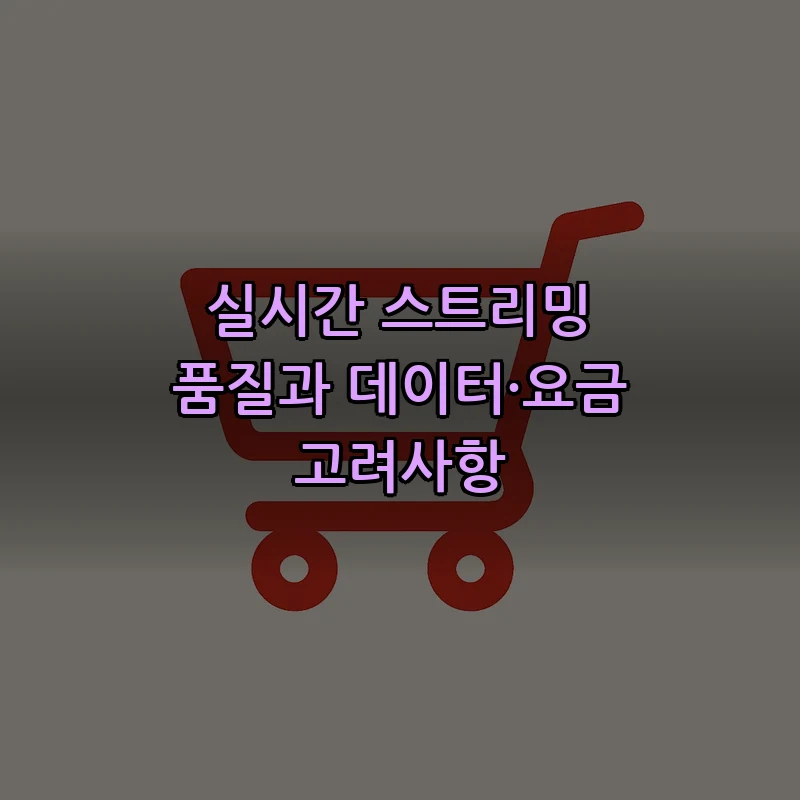 실시간 스트리밍 품질과 데이터·요금 고려사항