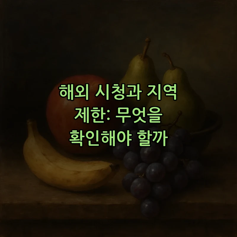 해외 시청과 지역 제한: 무엇을 확인해야 할까