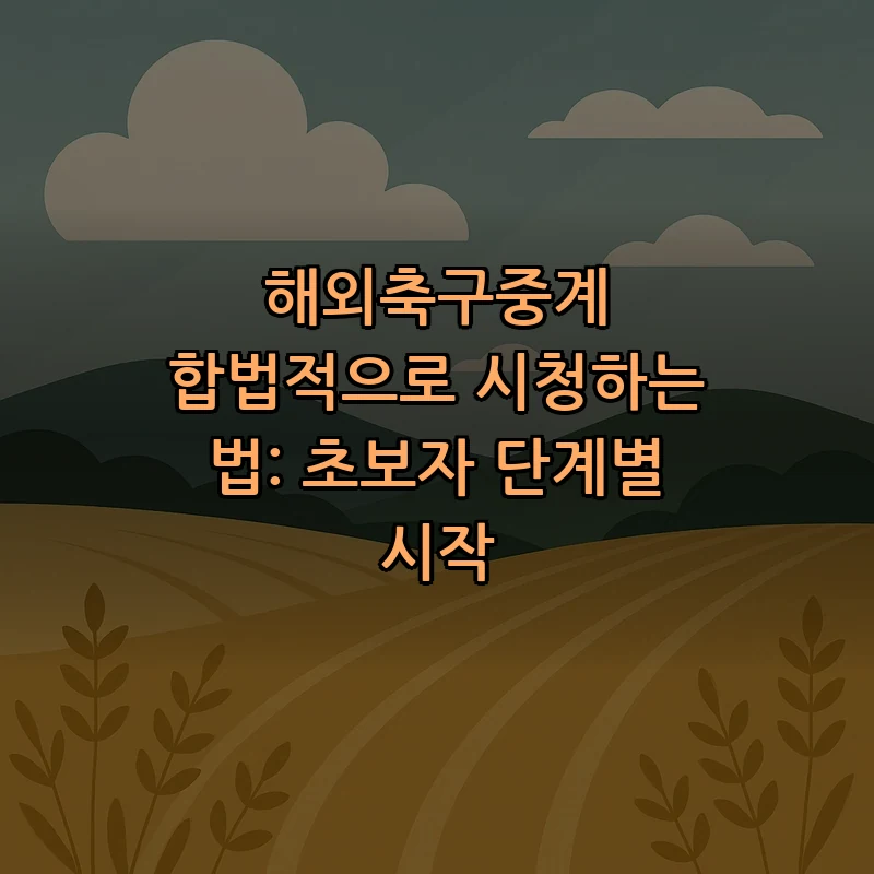해외축구중계 합법적으로 시청하는 방법