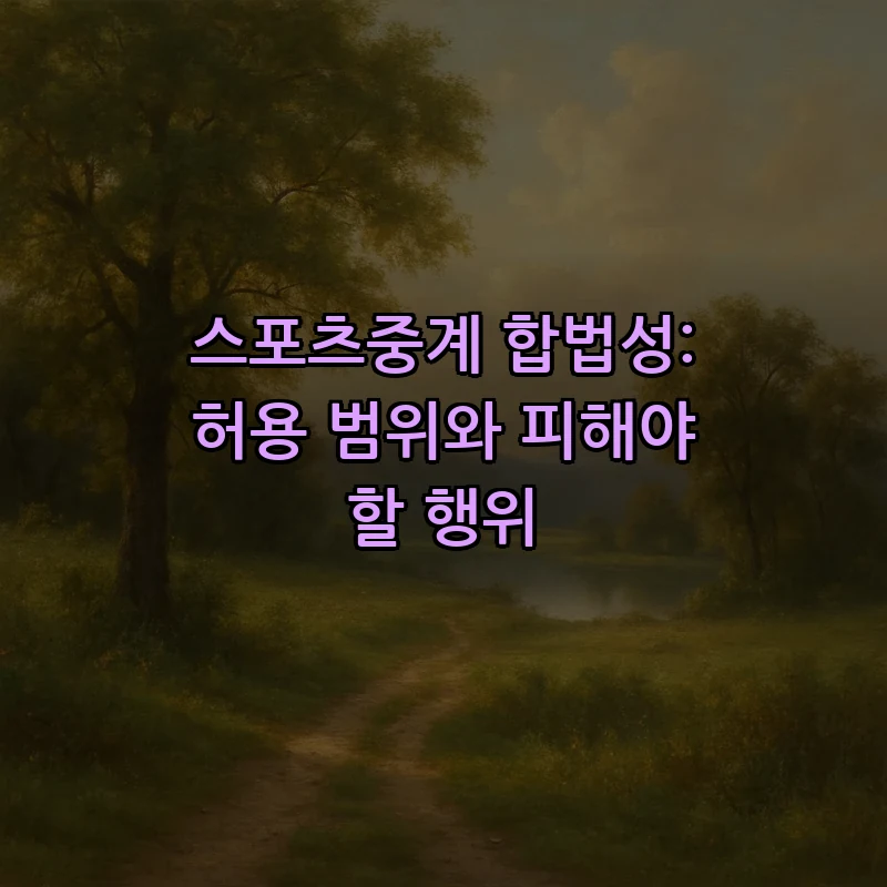 스포츠중계 합법성: 허용 범위와 피해야 할 행위