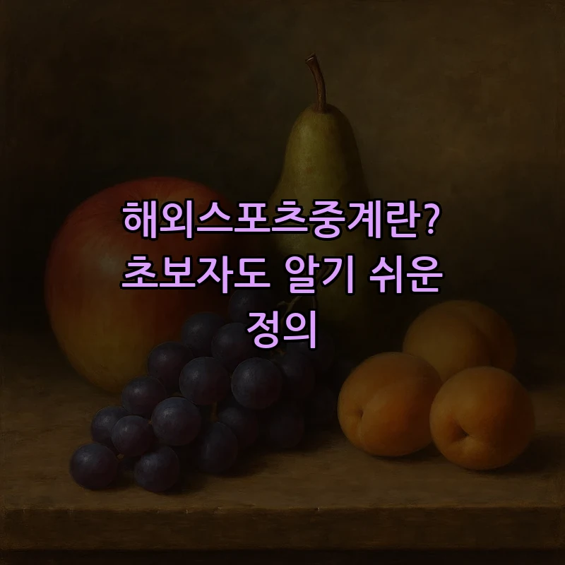 해외스포츠중계란? 초보자도 알기 쉬운 정의