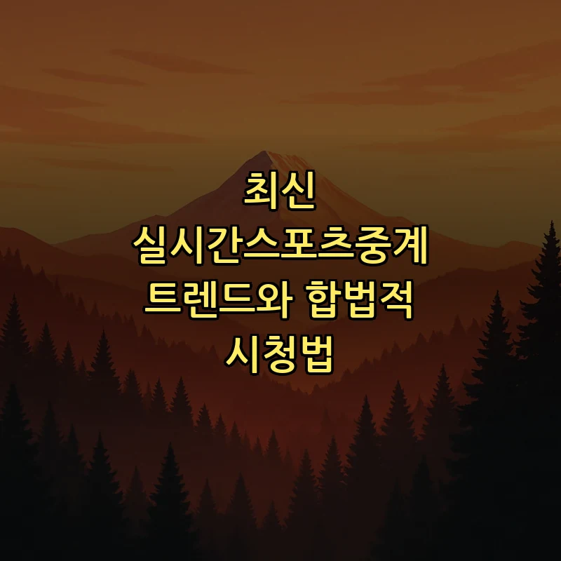 합법적 실시간 스포츠 중계 방법 총정리