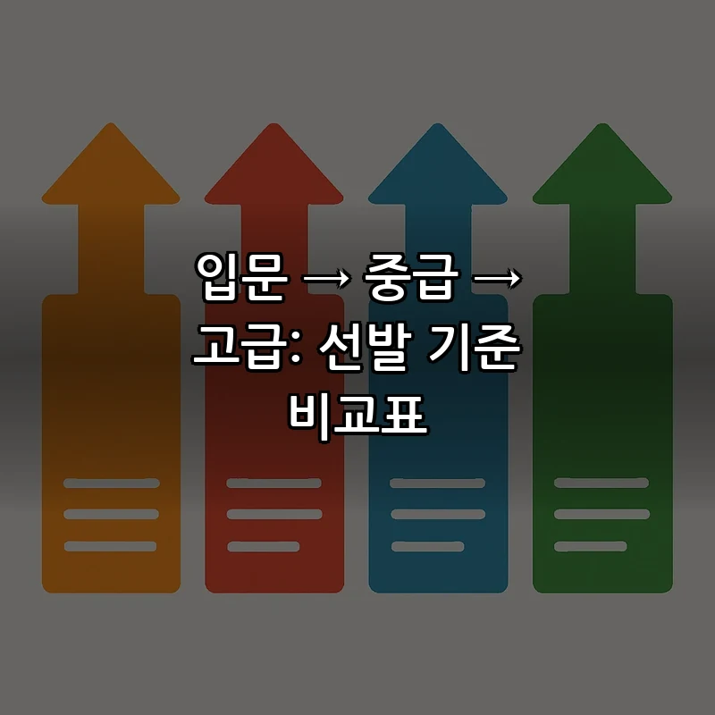 입문 → 중급 → 고급: 선발 기준 비교표