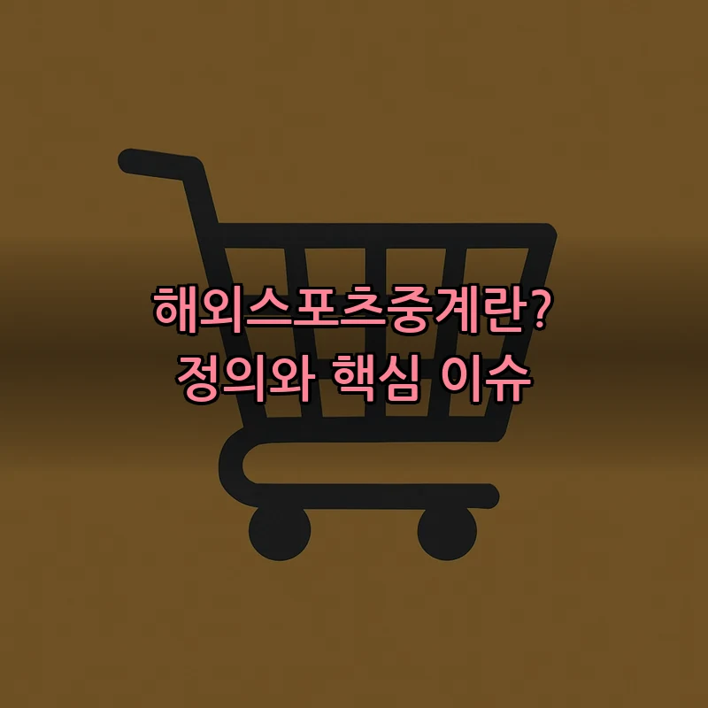 해외스포츠중계란? 정의와 핵심 이슈