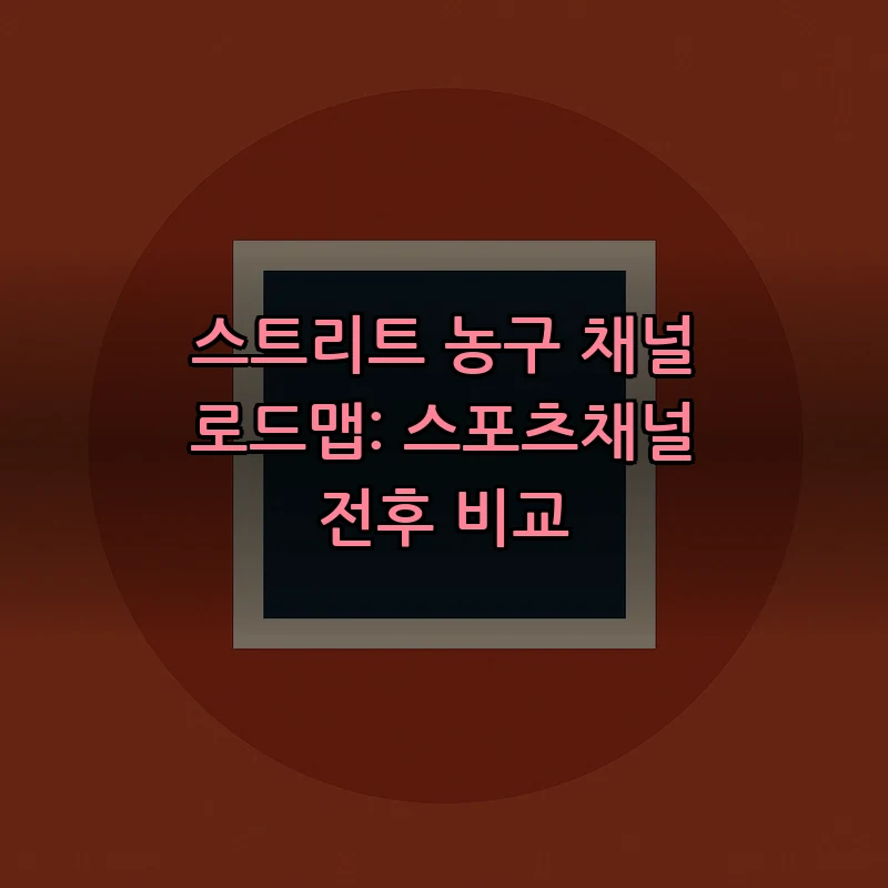 스트리트 농구 채널 로드맵: 스포츠채널 전후 비교 커버 이미지