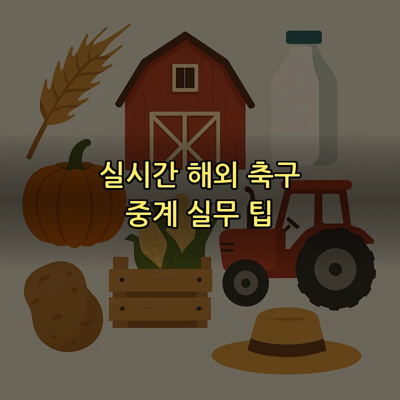 실시간 해외 축구 중계 실무 팁