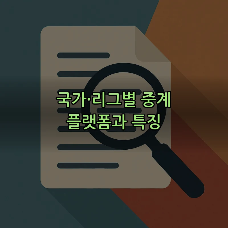 국가·리그별 중계 플랫폼과 특징