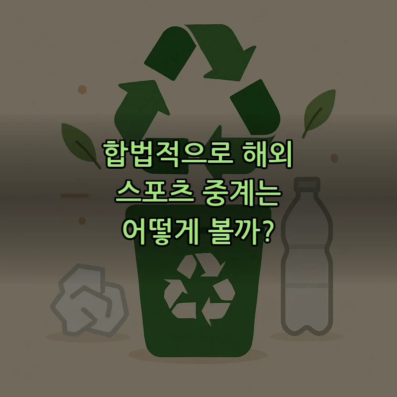 합법적으로 해외 스포츠 중계는 어떻게 볼까?