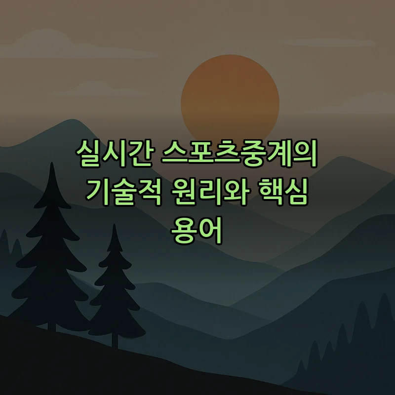 실시간 스포츠중계의 기술적 원리와 핵심 용어