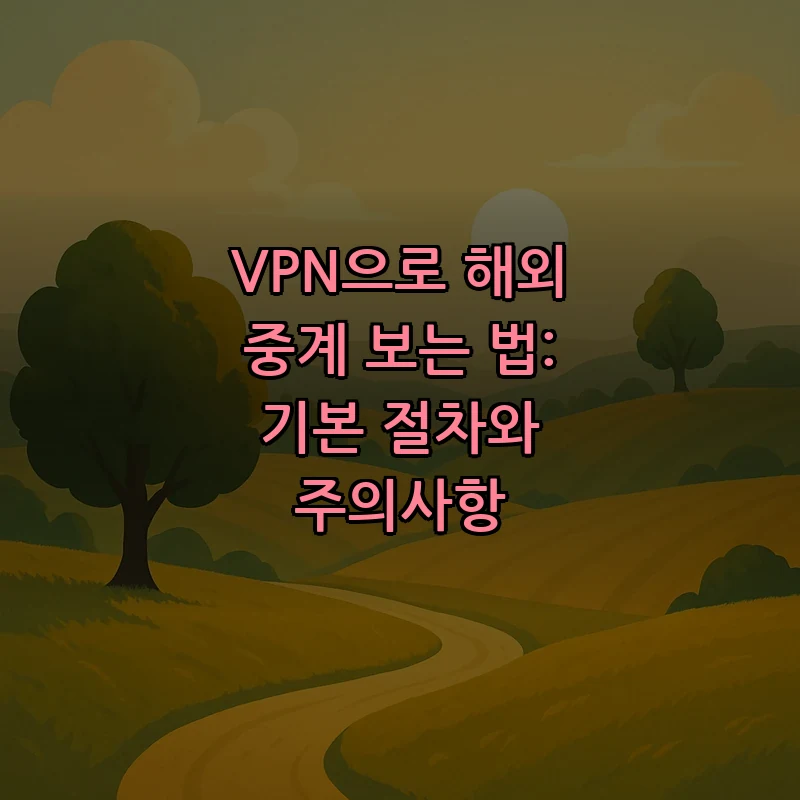 VPN으로 해외 중계 보는 법: 기본 절차와 주의사항