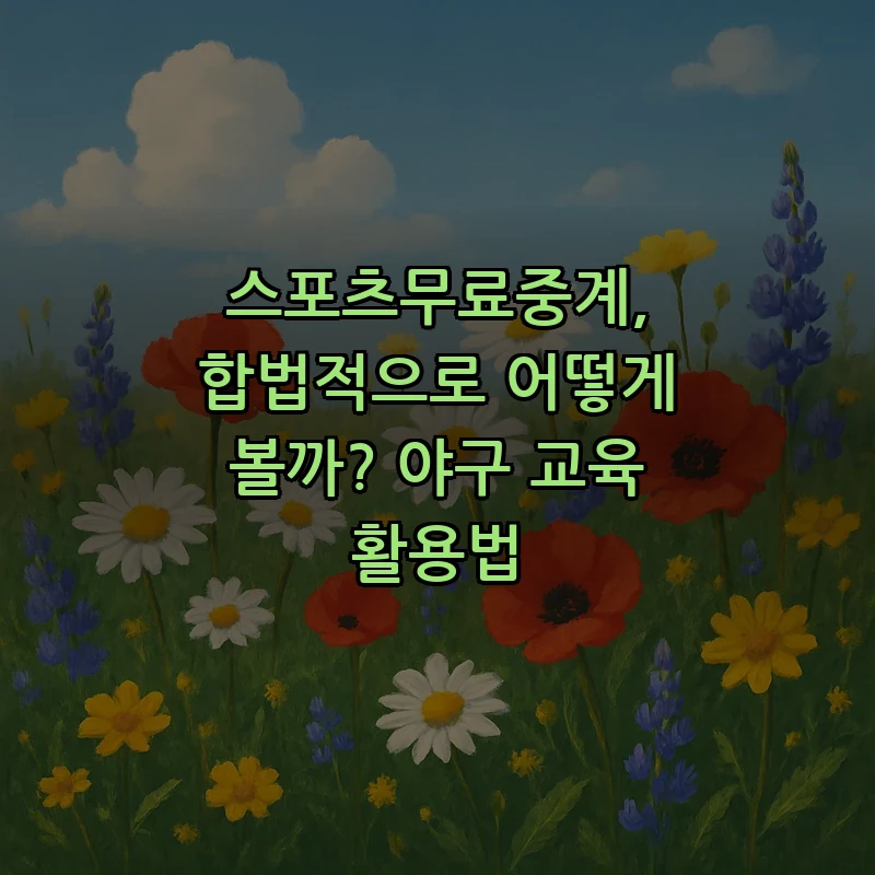 합법적으로 스포츠 무료 중계 보는 법