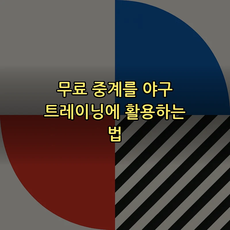 무료 중계를 야구 트레이닝에 활용하는 법