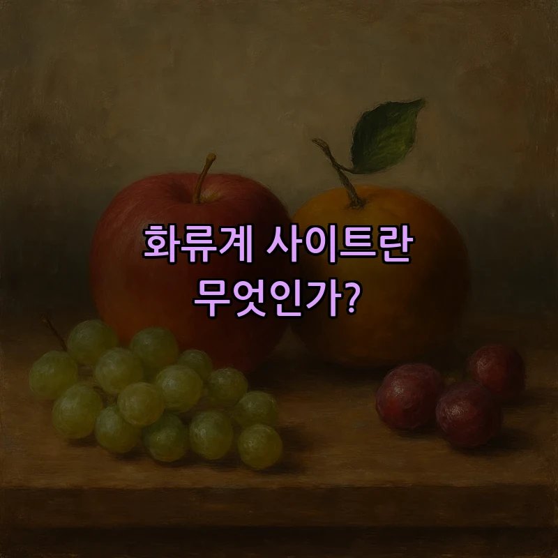 화류계 사이트란 무엇인가?