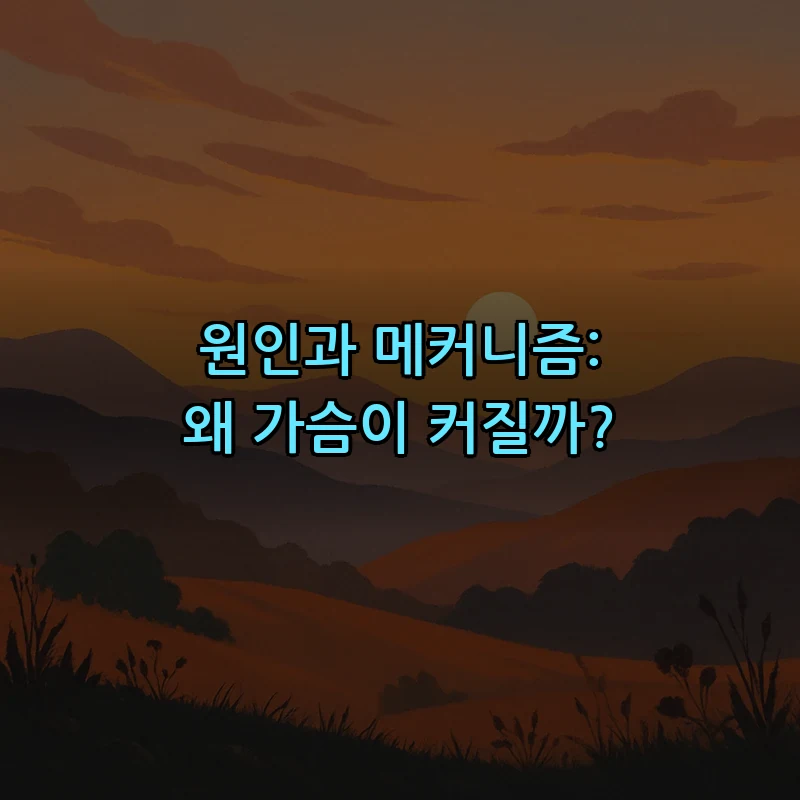 원인과 메커니즘: 왜 가슴이 커질까?