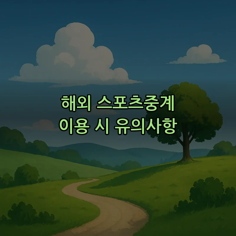 해외 스포츠중계 이용 시 유의사항