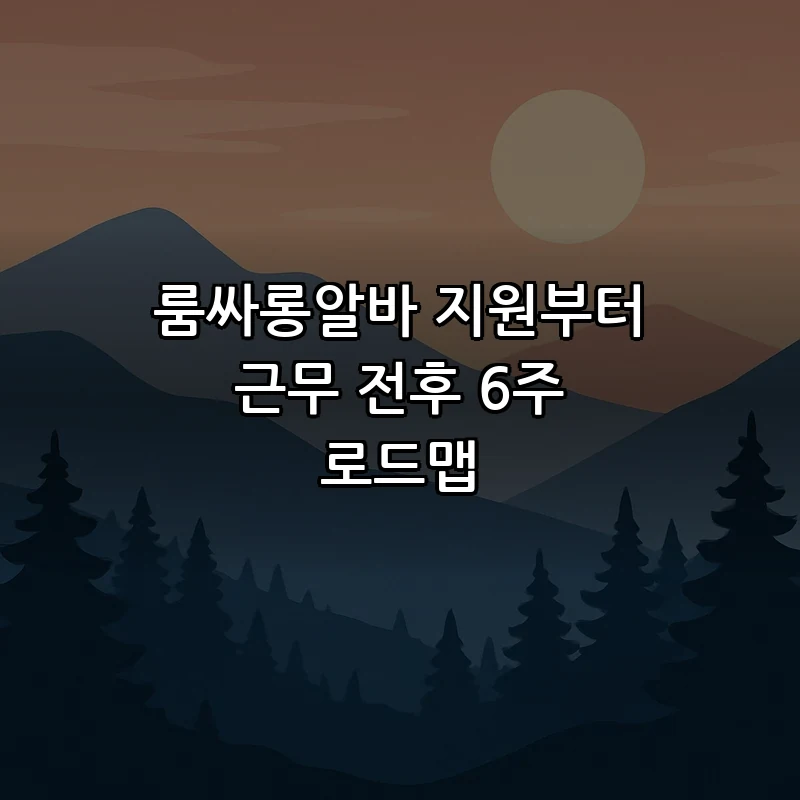 룸싸롱알바 지원 가이드: 6주 로드맵