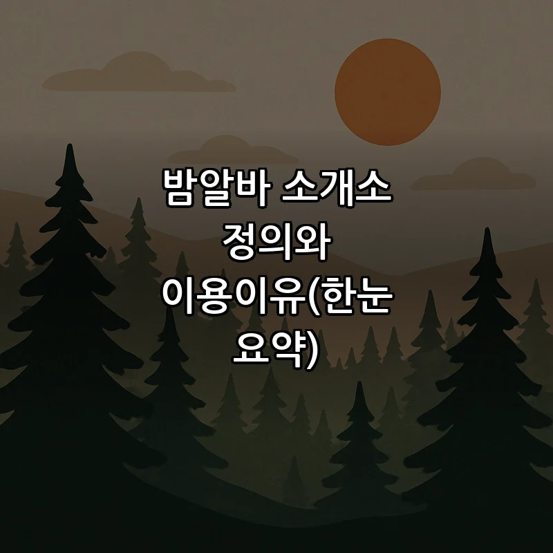 밤알바 소개소 정의와 이용이유(한눈 요약)