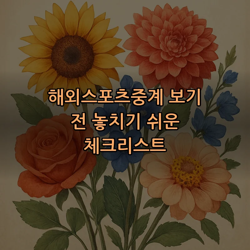 해외스포츠중계 체크리스트: 초보자를 위한 필수 가이드