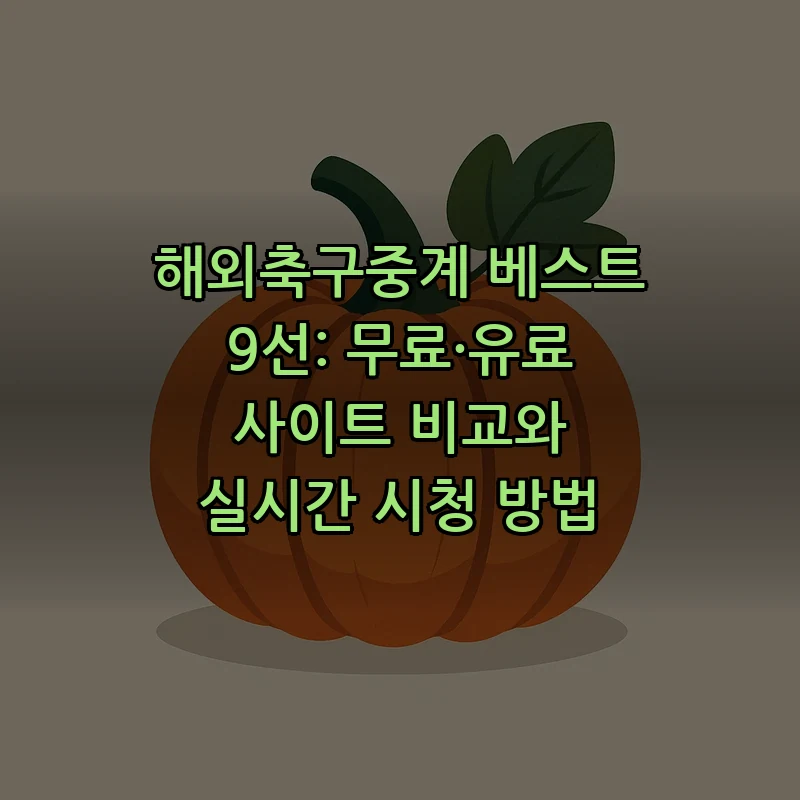 해외축구중계 가이드: 무료 및 유료 사이트 비교