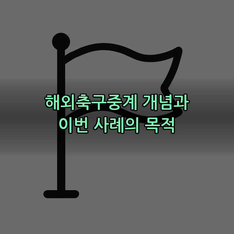 해외축구중계 개념과 이번 사례의 목적