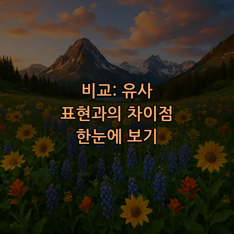 비교: 유사 표현과의 차이점 한눈에 보기