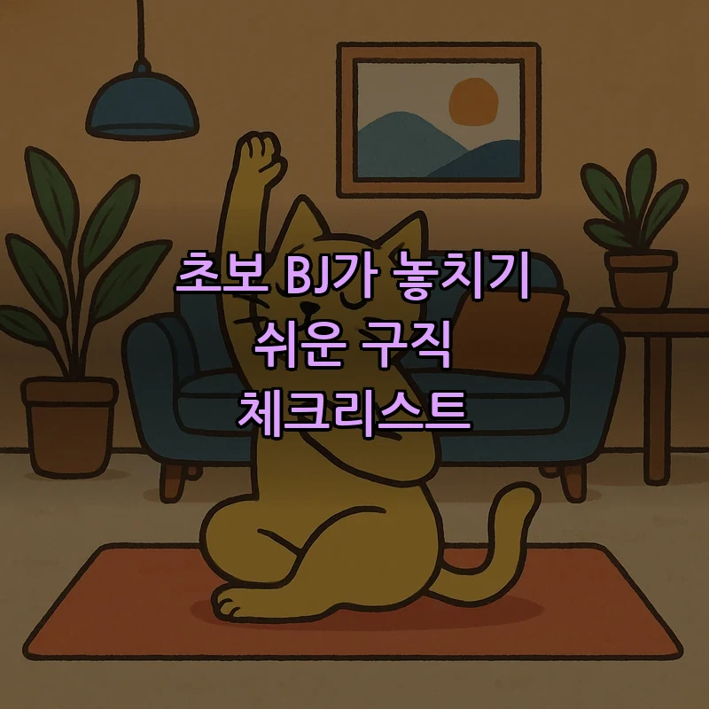 초보 BJ가 놓치기 쉬운 구직 체크리스트