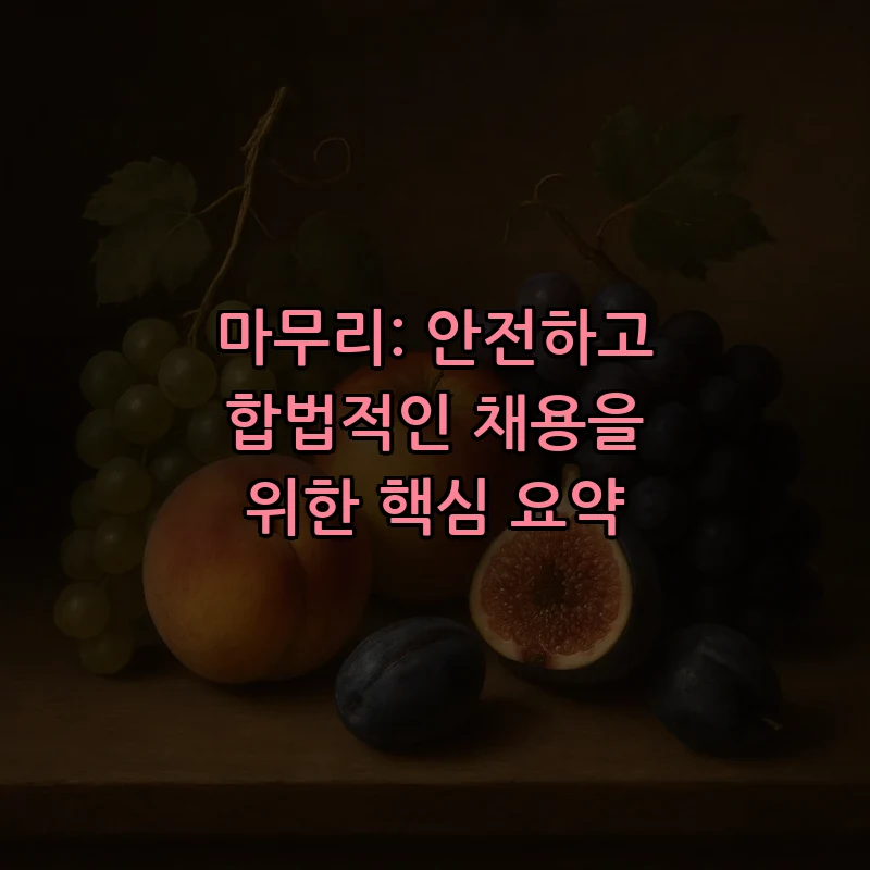 마무리: 안전하고 합법적인 채용을 위한 핵심 요약
