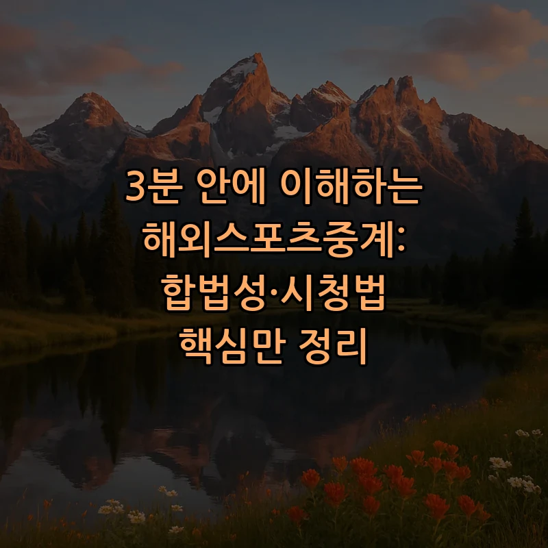 해외 스포츠 중계: 합법성과 시청법 핵심 가이드