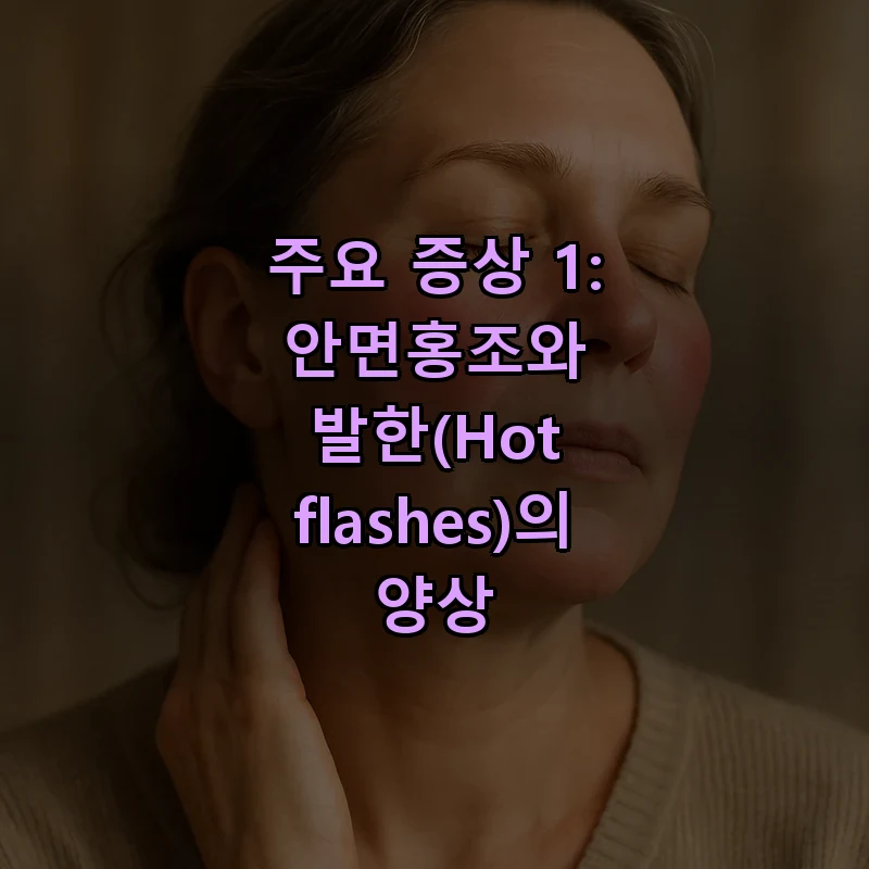 주요 증상 1: 안면홍조와 발한(Hot flashes)의 양상