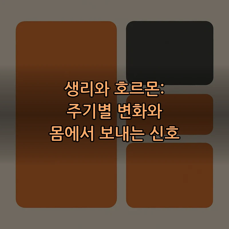 생리와 호르몬: 주기별 변화와 몸에서 보내는 신호