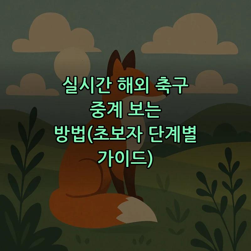 실시간 해외 축구 중계 보는 방법(초보자 단계별 가이드)
