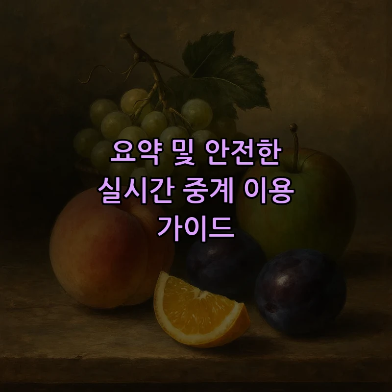 요약 및 안전한 실시간 중계 이용 가이드