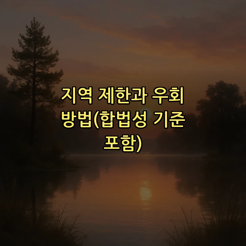 지역 제한과 우회 방법(합법성 기준 포함)