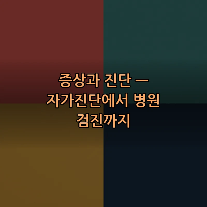 증상과 진단 — 자가진단에서 병원 검진까지