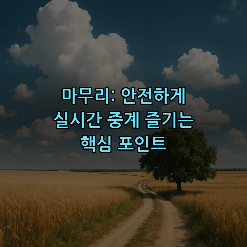 마무리: 안전하게 실시간 중계 즐기는 핵심 포인트