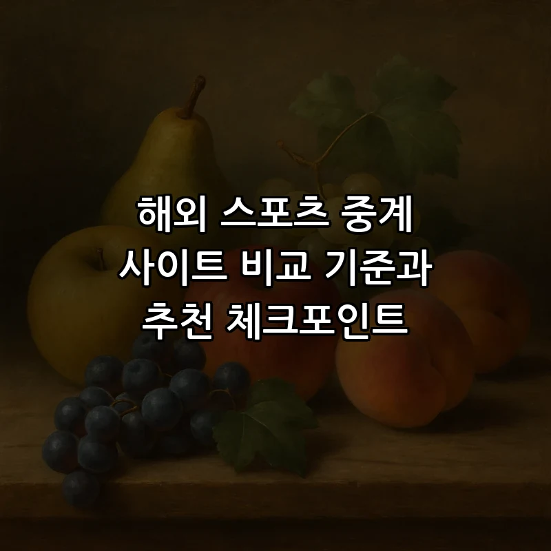 해외 스포츠 중계 사이트 비교 기준과 추천 체크포인트