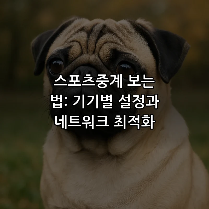 스포츠중계 보는 법: 기기별 설정과 네트워크 최적화